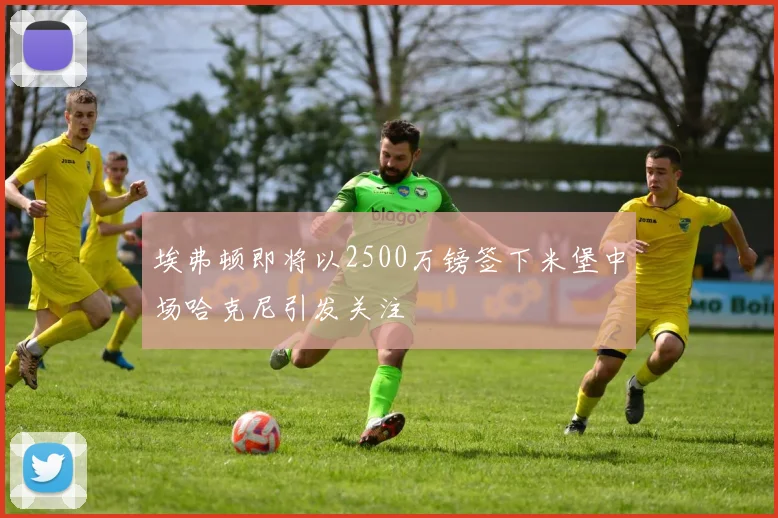 埃弗顿即将以2500万镑签下米堡中场哈克尼引发关注